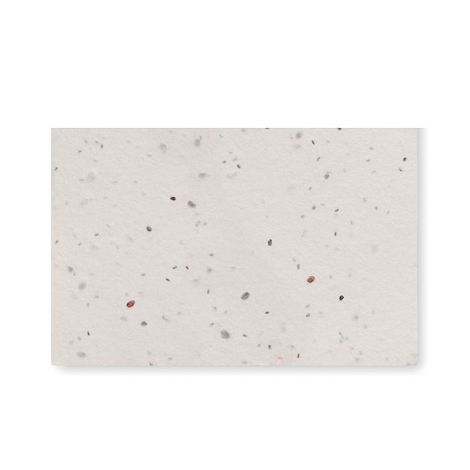  Carte de visite pour les graine