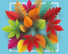 Tendances & Saisons